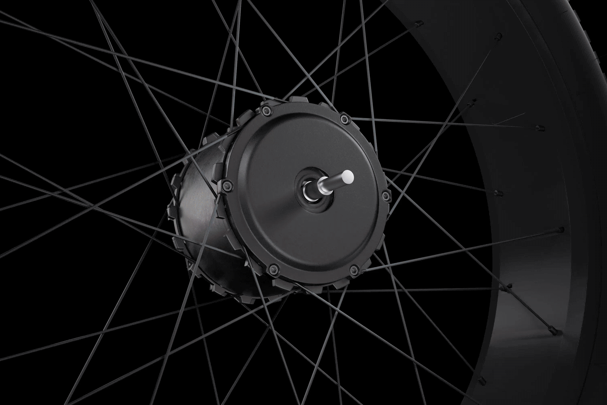 Dual hub motor