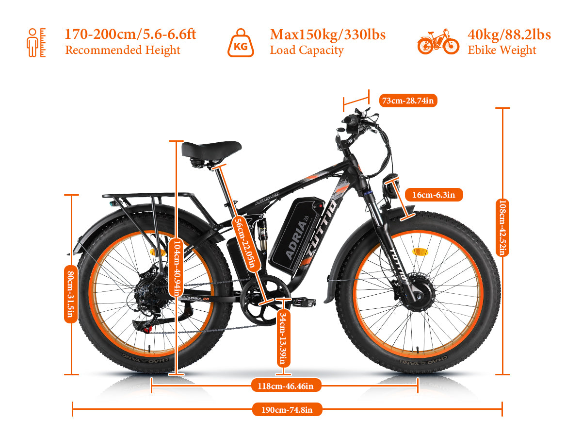 electric bike dual motor