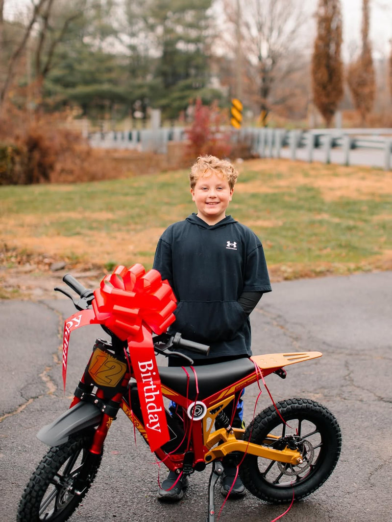 electric dirt bike