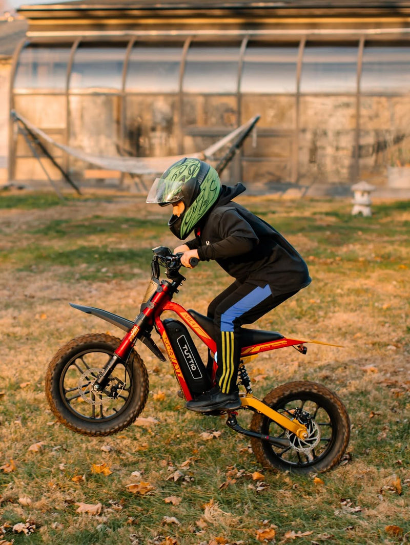 electric dirt bike